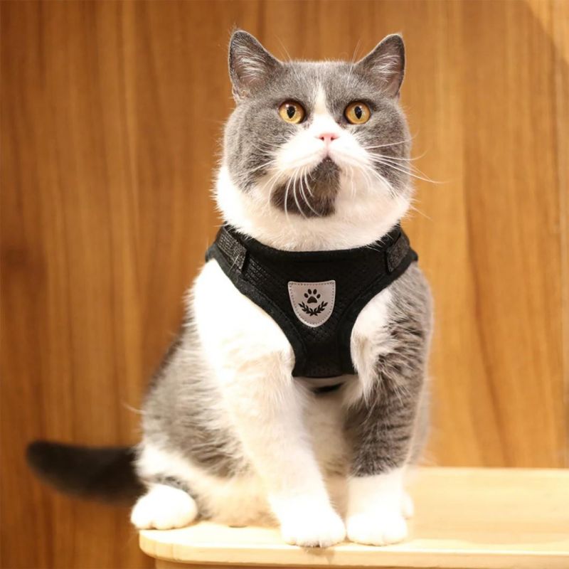 Summer Cool Breathable Pet Harness for Dog and Cat