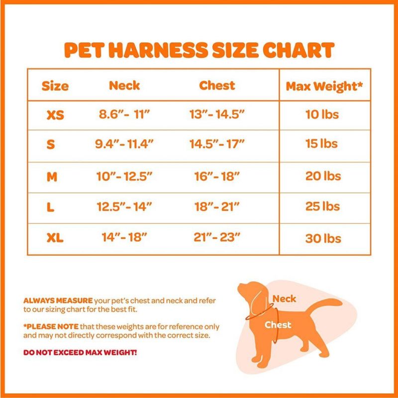 Chafe-Free Design Mesh Pet Harness