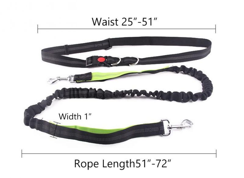 Dual Handle Lead Leash, Shock Absorbing Reflective Adjustable Waist Hands Free Dog Leash//