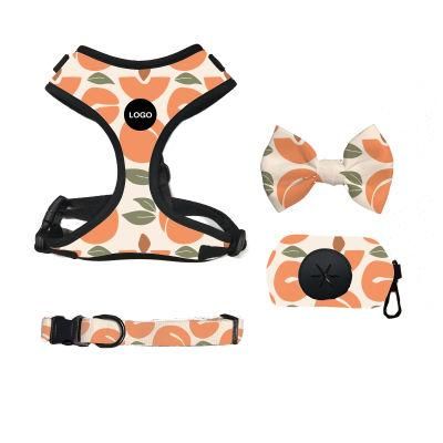 Pet Products Custom Adjustable Soft Comfortable Pattern Dog Harness Leash Collar Poo Bag Set