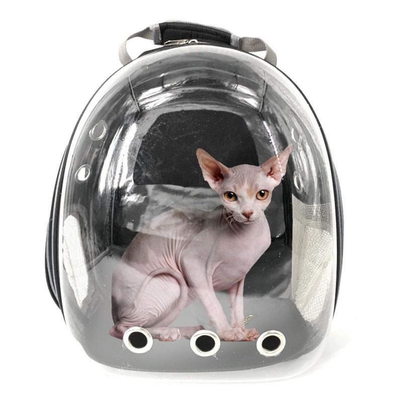 Colorful Portable Space Capsule Travel Knapsack Waterproof Lightweight Cat Dog Pet Carrier Backpack