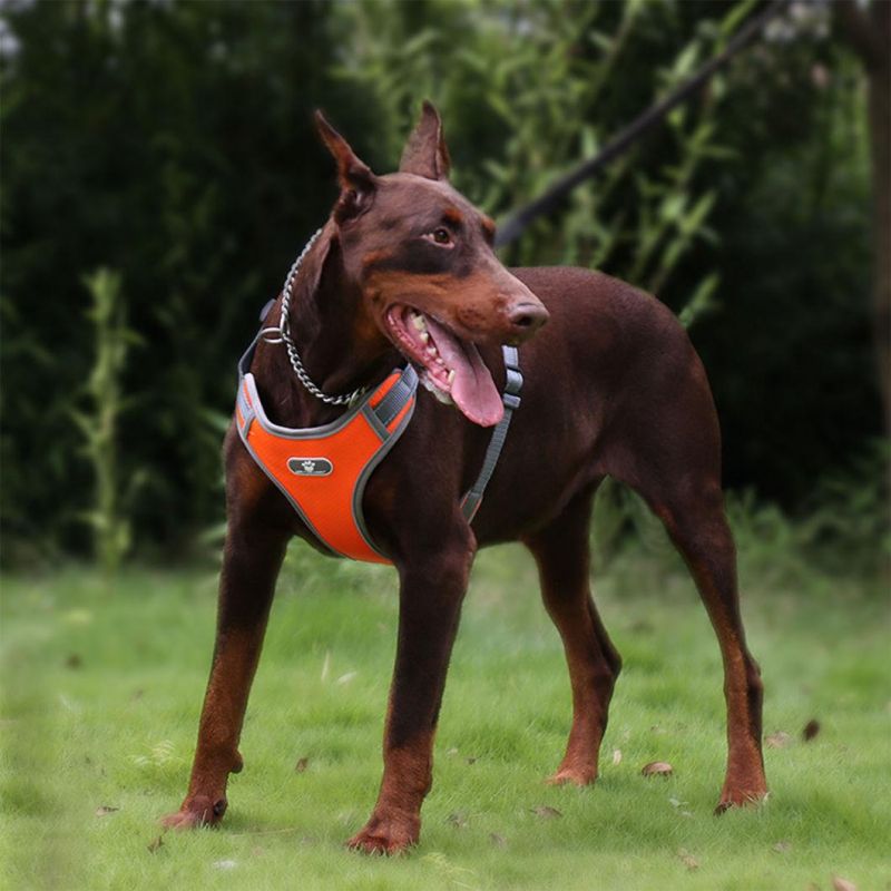 Adjustable Dog Harness with Reflective Strips for Small to Large Dog