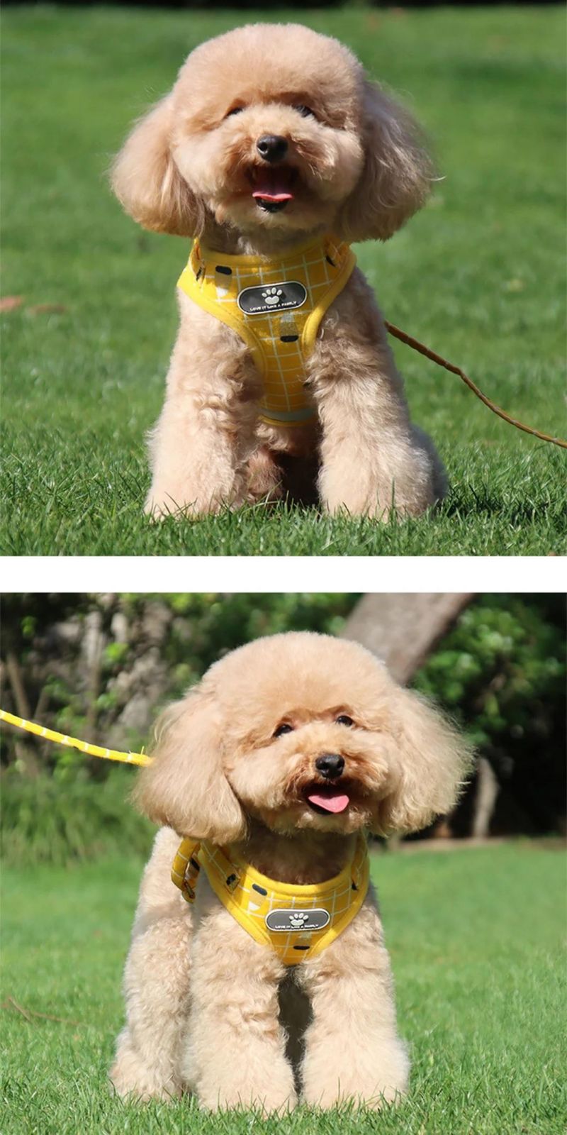 Reflective Tape Cat Harness Dog Vest Harness