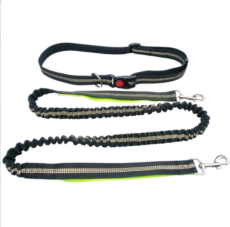 Hands Free Dog Leash for Running, Walking, Hiking, Durable Dual-Handle Bungee Leash, Reflective Stitching