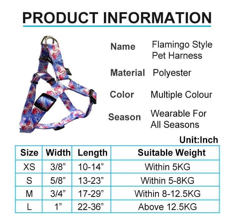 Custom Designer Reflective Soft Padded Nylon No Pull Dog Harness and Leash Set