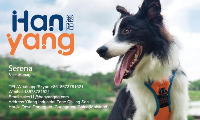 Custom High Quality Waterproof Windproof Pet Dog Raincoat