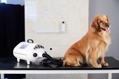 Pet Cat Dog Hair Dryer Double Motor Pet Dryer/Pet Grooming (Pet-007)