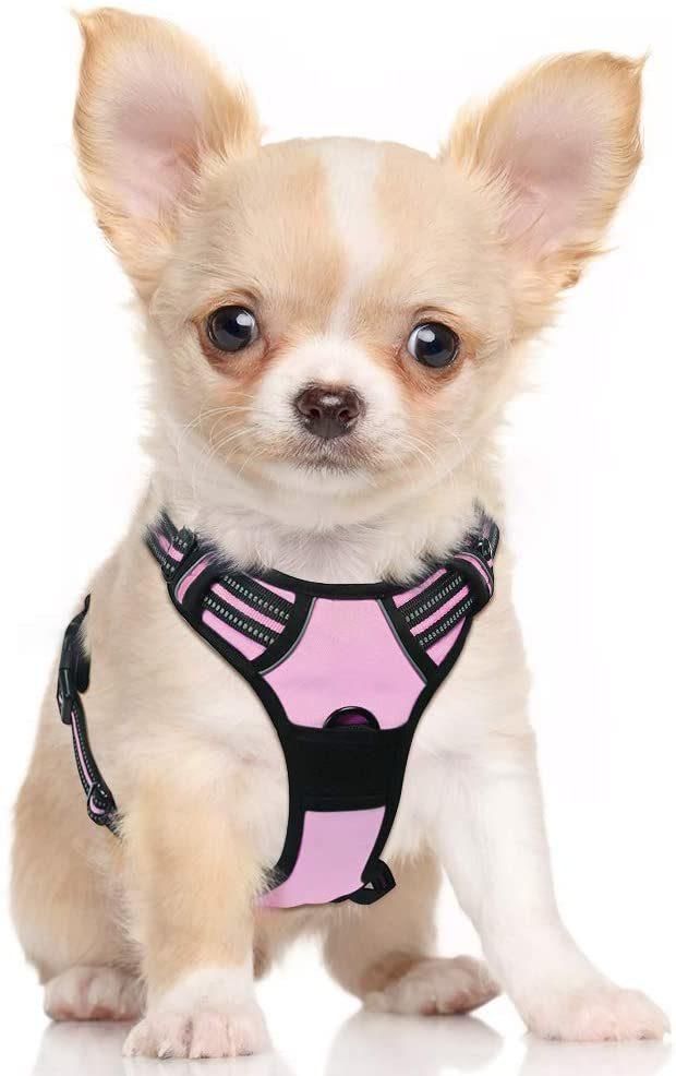 Fully Adjustable Easy to Use Reflective Dog Harness