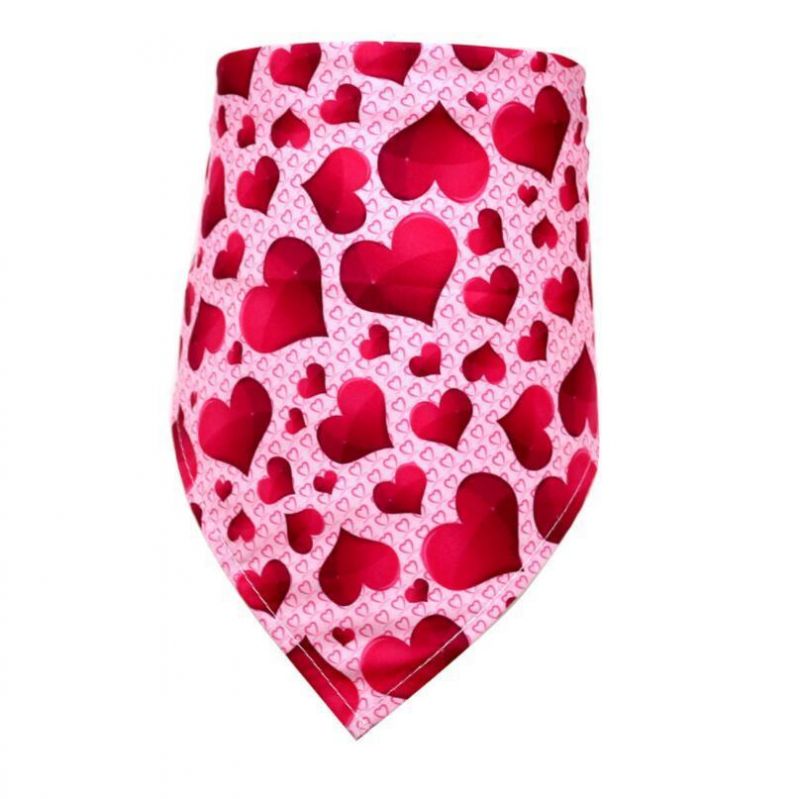 Saint Valentine′s Day Style Dog Bandana with Fast Delivery