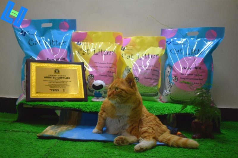 Cat Toliet Product: Green Tea Scent Tofu Cat Litter
