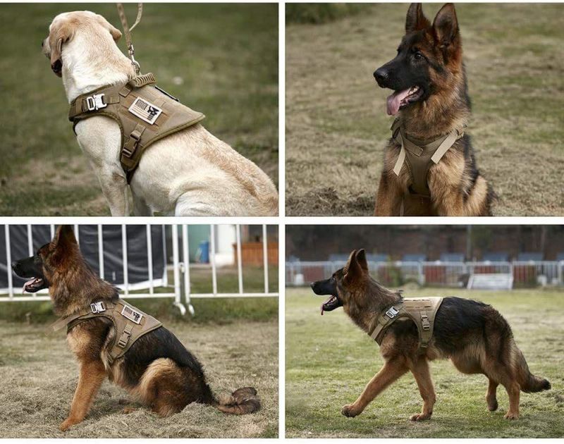 Military Dog Products Service Dog Harness Durable Tactical Dog Training Vest/Different Color Printing Design Padded Dog/Pet Harness Full Sets/Pet Vest