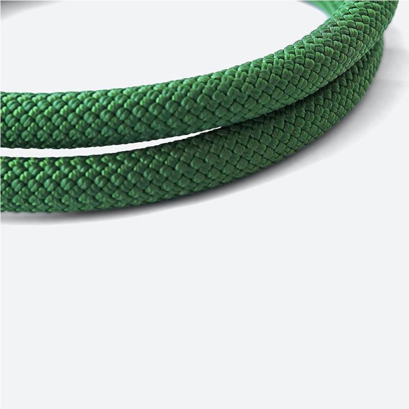 Strong Large Nylon Climbing Rope Leash with Autolocking Aviation Aluminum Carabiner Mountainside for Pets Dogs Training Running