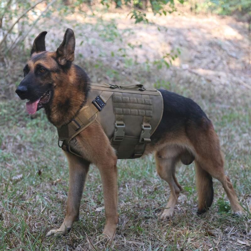 Durable Pet Safety Vest Durable Army No Pull Police Dog Harness Leash and Collar for Military Training