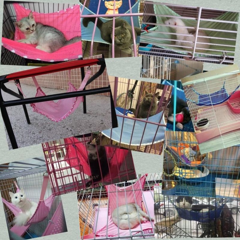 Summer Pet Hanging Breathable Cat Hammock Small Pet Hanging Bed