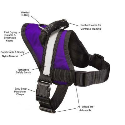 Comfortable and Sturdy Bid Dog Harness