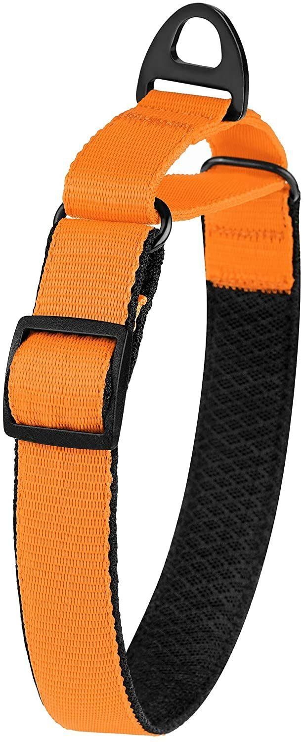 Soft Padded Nylon Durable Pet Collar with Multiple Colors