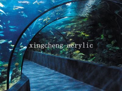 Acrylic Aquarium Tunnel/Plexiglass Tunnel/Unbreakable Plastic Acrylic
