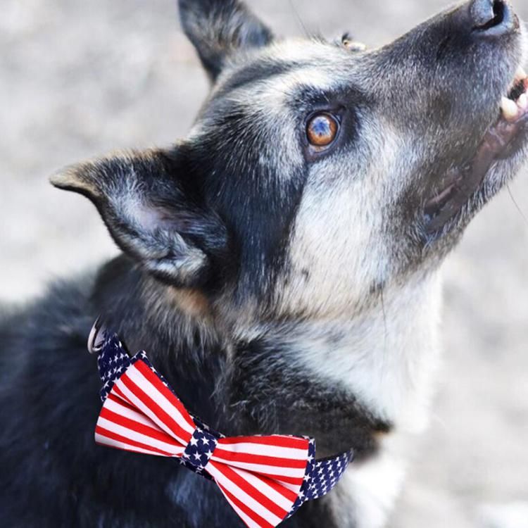 Personalized Dog Accessories Colorful Design Nylon Dog Collar with Bowtie for Pet