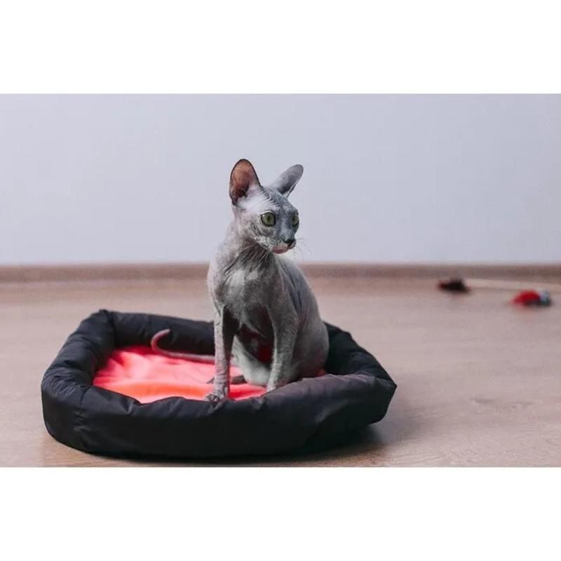 Manufactrurer Premium Pet Bed Soft Comfortable Nonskid Waterproof Dog Bed