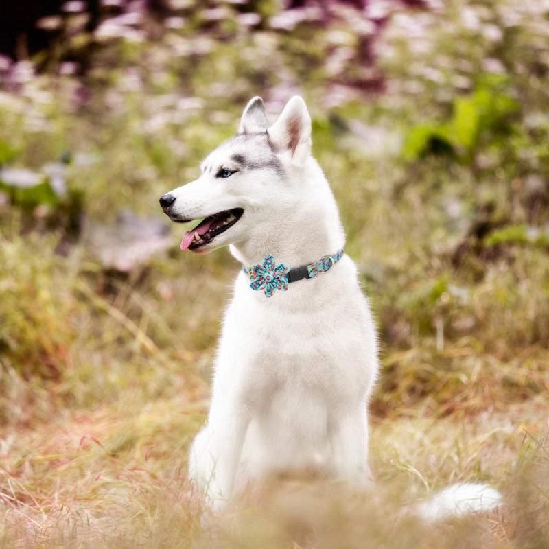 Personalized Cute Adjustable Floral Dog Collar with Detachable Flower Accessories