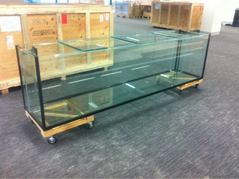 Customized Ulta Clear Glass Fish Aquarium