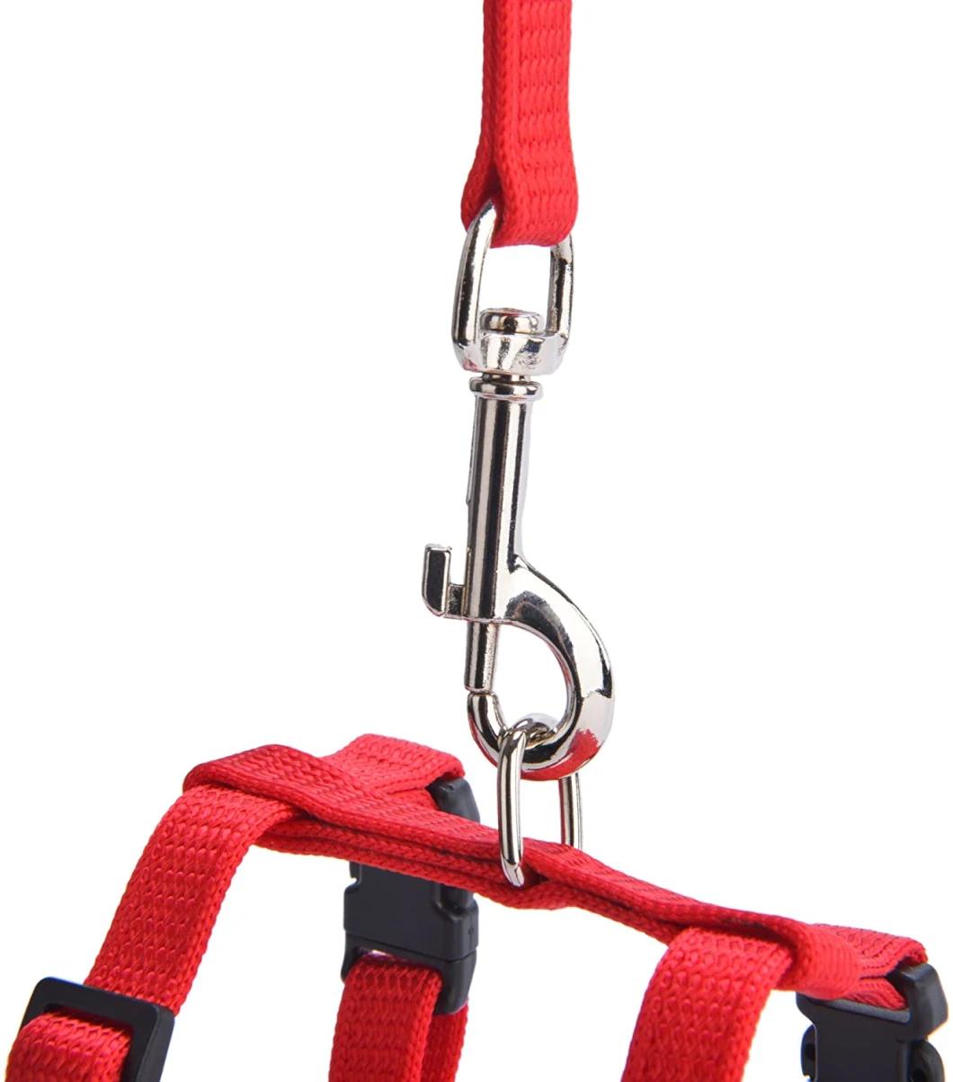 Factory Direct Sale Cat Dog Leash Pet Collars and Leash