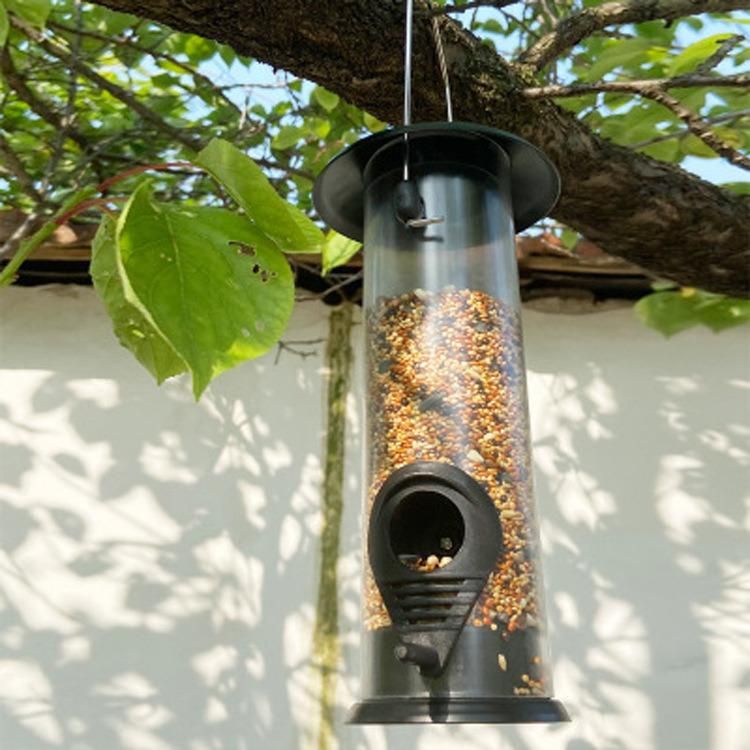 Squirrel Proof Automatic Hanging Bird Food Feeder Feeding Feed Apparatus
