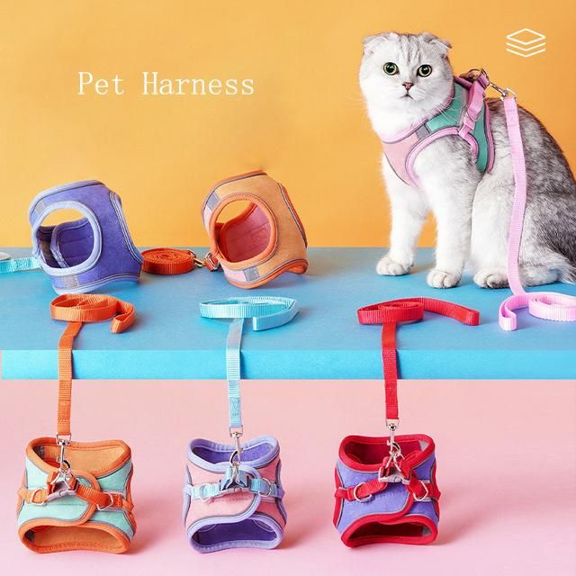 Amazon′s Hot Kitten Harness Easy Control Breathable Cat Leash with Reflective Strip