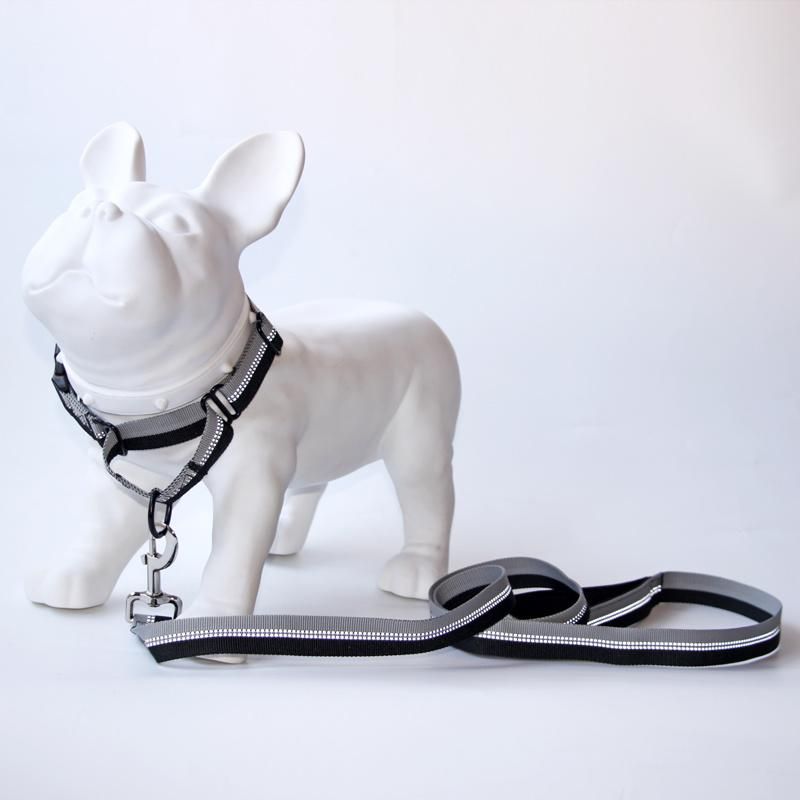 Adjustable Reflective Martingale Dog Collar and Leash with Padded Handle