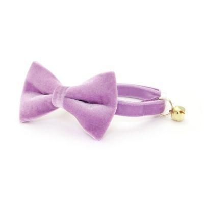 Custom Pet Bow Tie Dog Collar Set Velvet Dog/Cat Collar