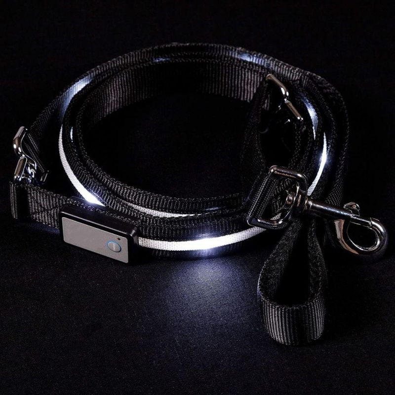 4FT & 6 FT Water Resistant Lighting LED Dog Leash