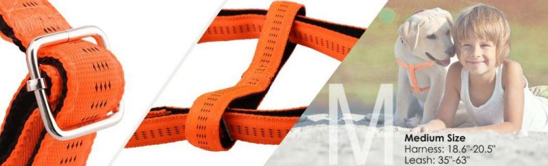 Dog Harness & Leash Set Nylon Leash for Walking Jogging and Training