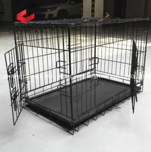 Eco Friendly Pet Product Portable Gold Double Door Dog Crate