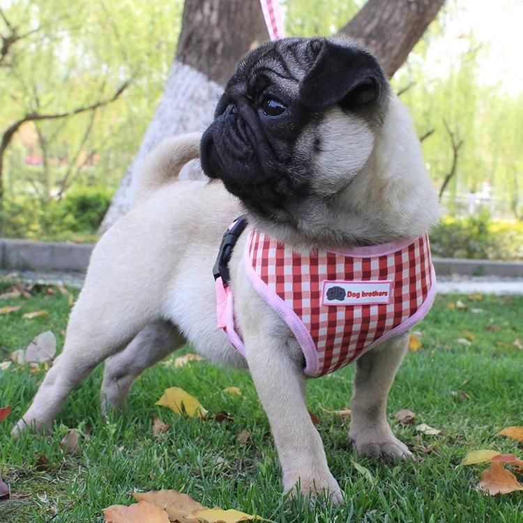 Vest-Style Dog Chest Strap Summer Breathable Lattice Pet Chest Strap Dog Rope Pet Harness