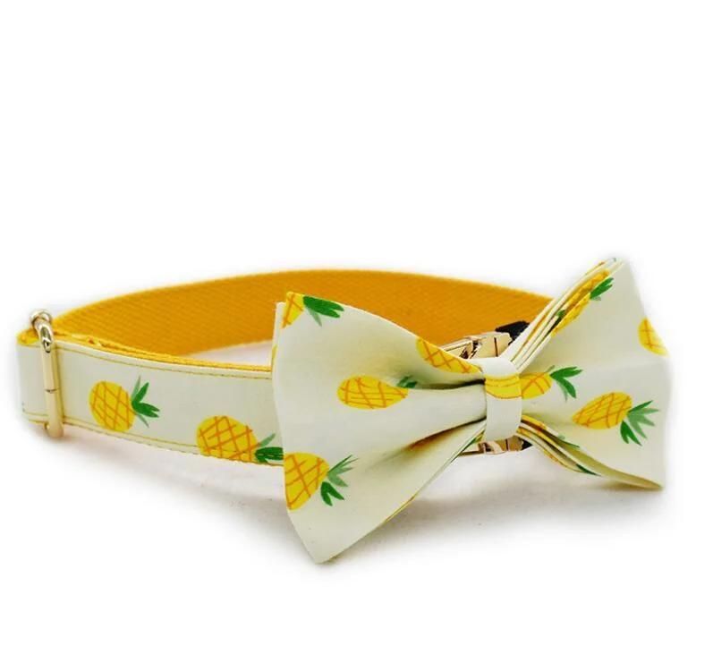 Summer Style Pineapple Dog Collar