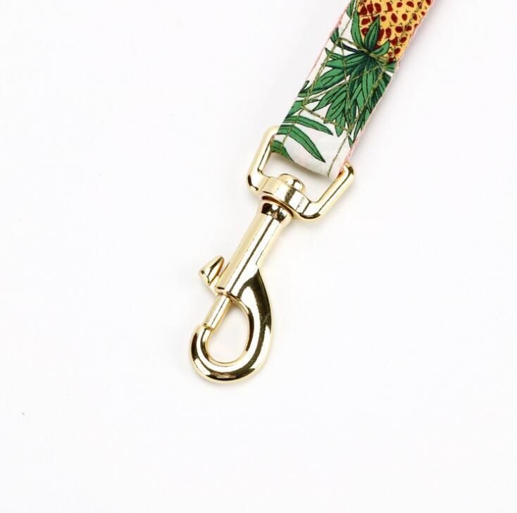 Fashion Design Cotton Webbing Lining and Custom Printed Polyester Dog Collar and Leash with Stainless Buckle