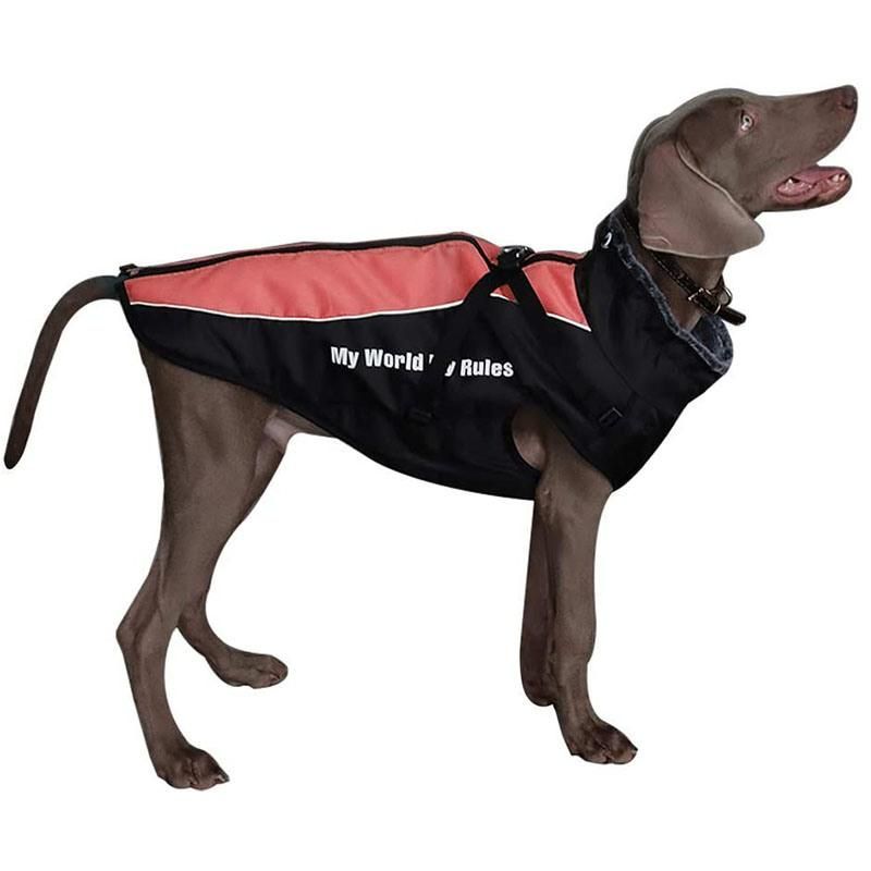 Soft Fleece Collar Dog Coats for Medium Large Dog