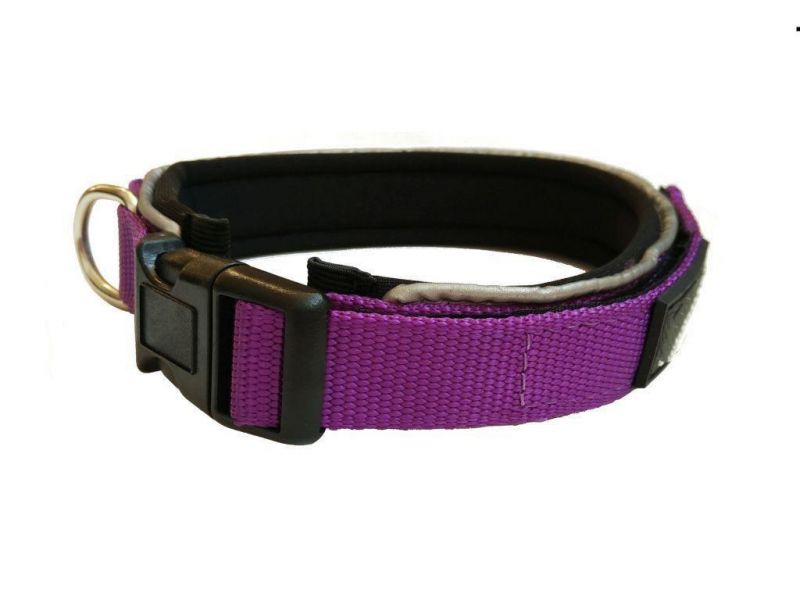 Highly Reflective Padded Polyester and Neoprene Dog Collars