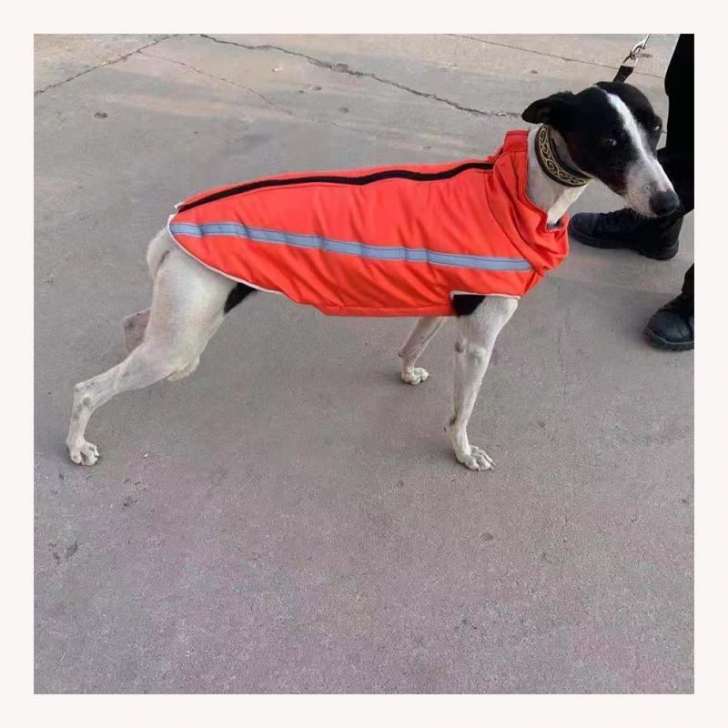 Outdoor Reflective Zipper Padding Fleece Lined Dog Coat Greyhound Jacket Dog Garment Vestido Del Perro