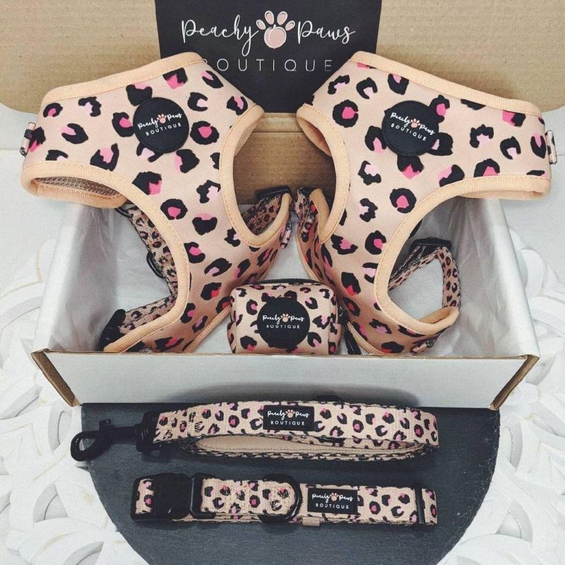 Pet Supplies Custom Dog Harness Reversible No Pull Dog Harness and Leash Front D Buckle Accesorios PARA Mascotas Vest for Dog