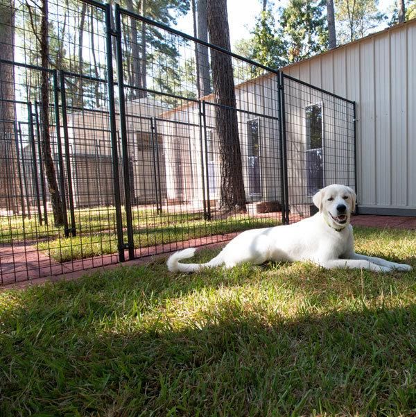 Welded Wire Galvanized Dog Breeding Kennel