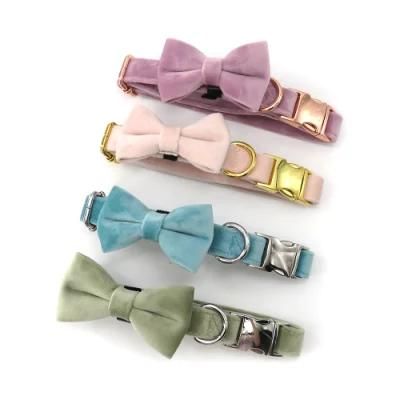 Luxury Accessories for Pets Velvet Adjustable Metal Buckle Dog Collar with Removable Bowtie
