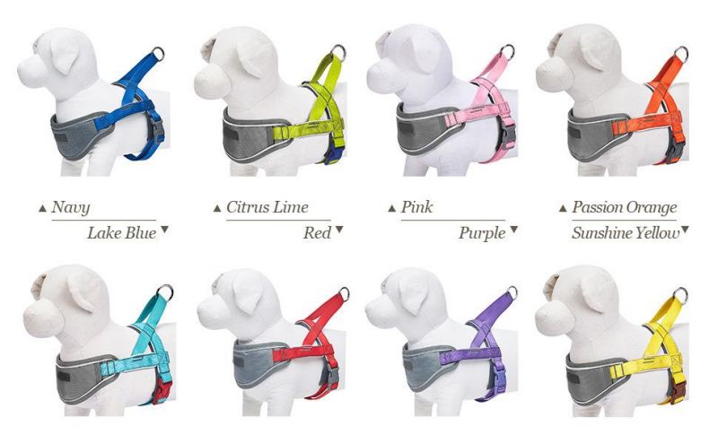 Maximum Durable and Comfort Chest Girth 13.5"-38.5" Adjustable Puppy Harness