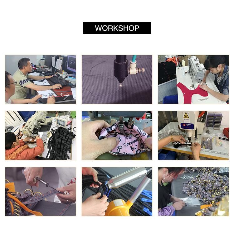 Manufacturer Adjustable Nylon Bungee Dog Car Seat Belts for Vehicle