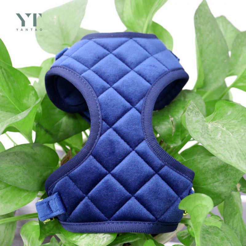 High Quality Soft Grid Velvet Fabric Mesh Padded Small Adjustable Dog Harness Pet Harness
