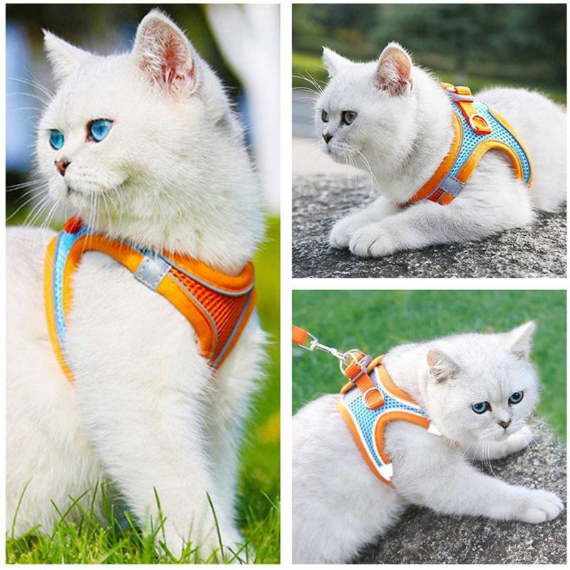 Breathable Mesh Fabric with Soft Padded Cat Harness Cat Leash Set