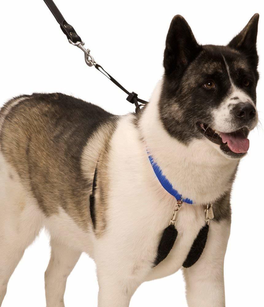 Anti-Pull Flexible Adjustment Training Dog Product