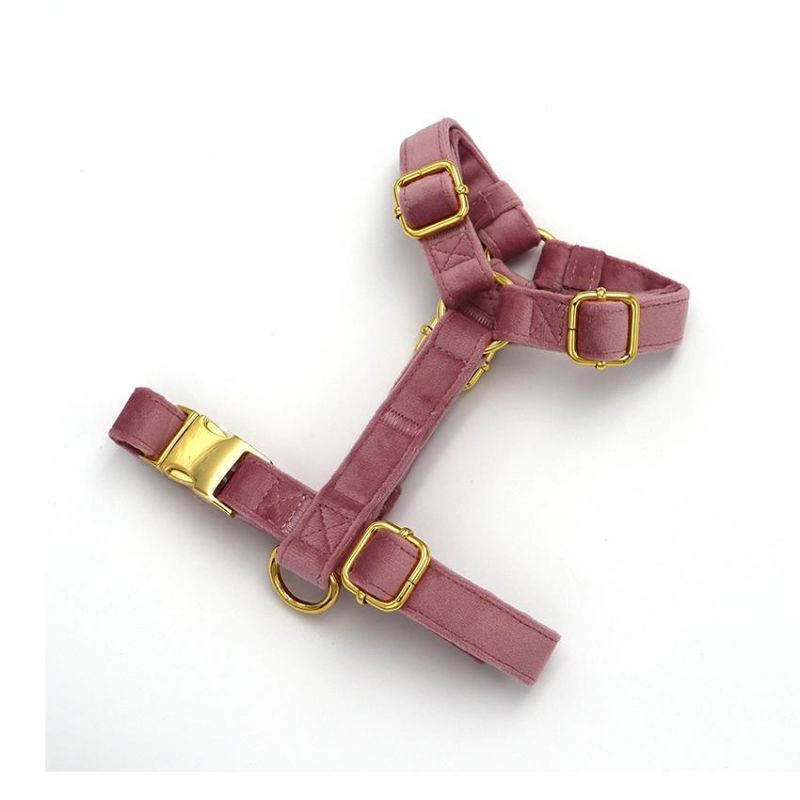 Wholesale OEM No Pull Pet Velvet Strap Dog Halter Harness Sets Adjustable Colorful Fashion with Heavy Duty Metal Buckle