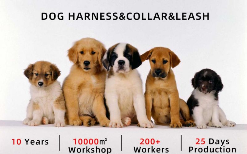 Custom Logo Tactical No Pull Adjustable Service Pet Lift Breathable Mesh Reflective Dog Harness