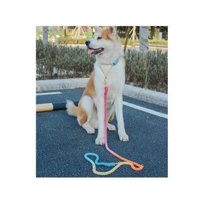 Manufacturer Wholesale Explosion-Proof Punch Extreme Soft Feeling Other Pet Collars